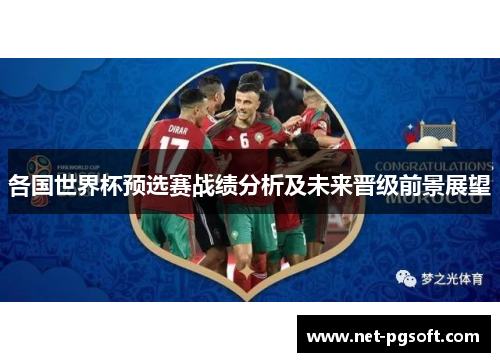 各国世界杯预选赛战绩分析及未来晋级前景展望