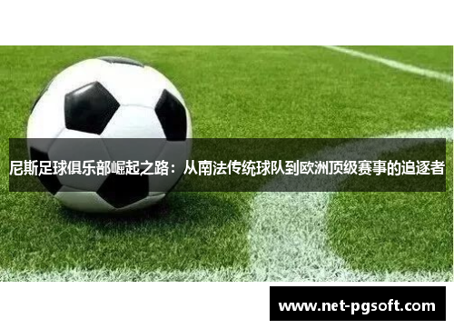 尼斯足球俱乐部崛起之路：从南法传统球队到欧洲顶级赛事的追逐者
