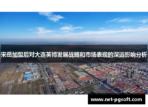 宋岳加盟后对大连英博发展战略和市场表现的深远影响分析