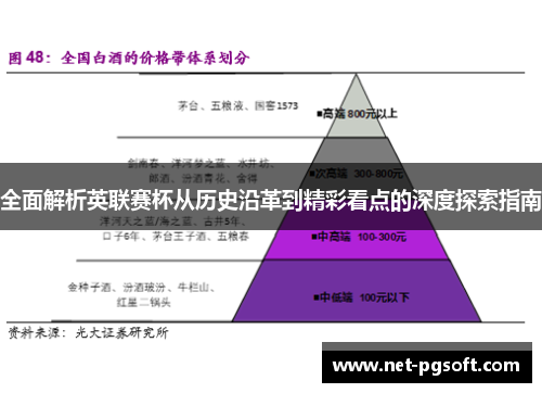 全面解析英联赛杯从历史沿革到精彩看点的深度探索指南