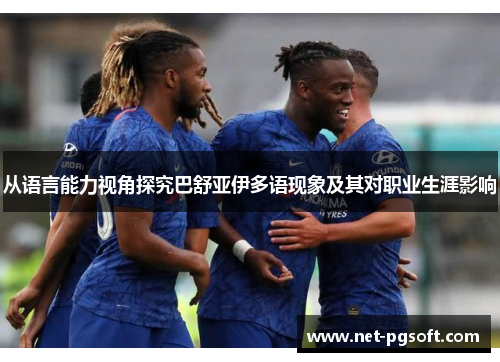 从语言能力视角探究巴舒亚伊多语现象及其对职业生涯影响